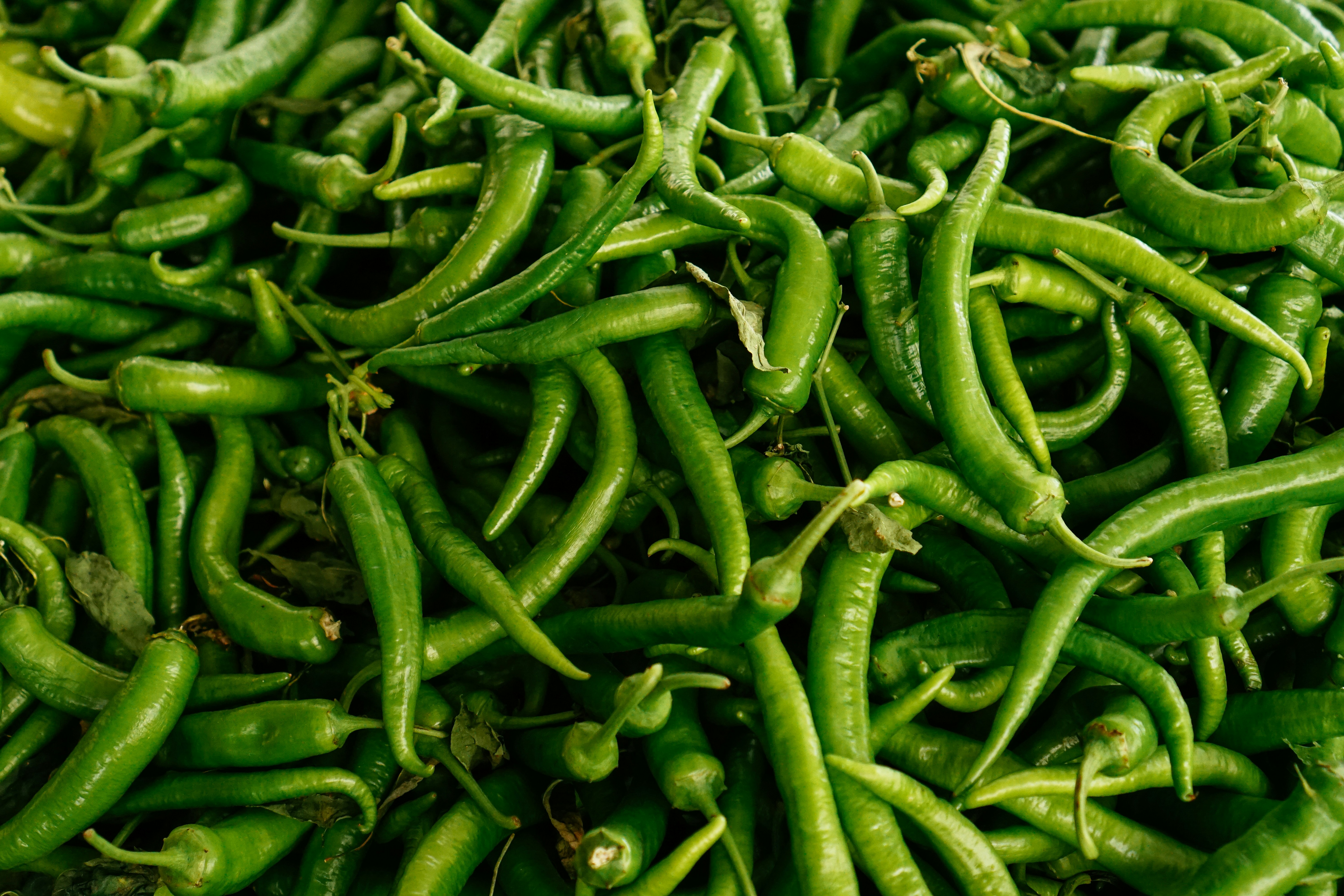 G4 Green Chillies